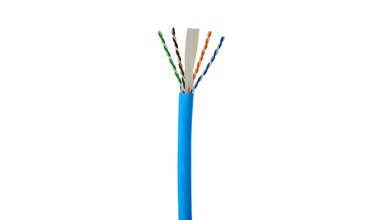 CAT6 UTP Network Cable